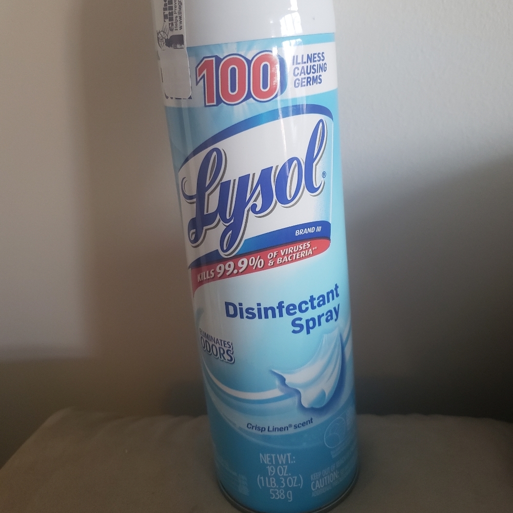 Lysol 19 oz Disinfectant spray